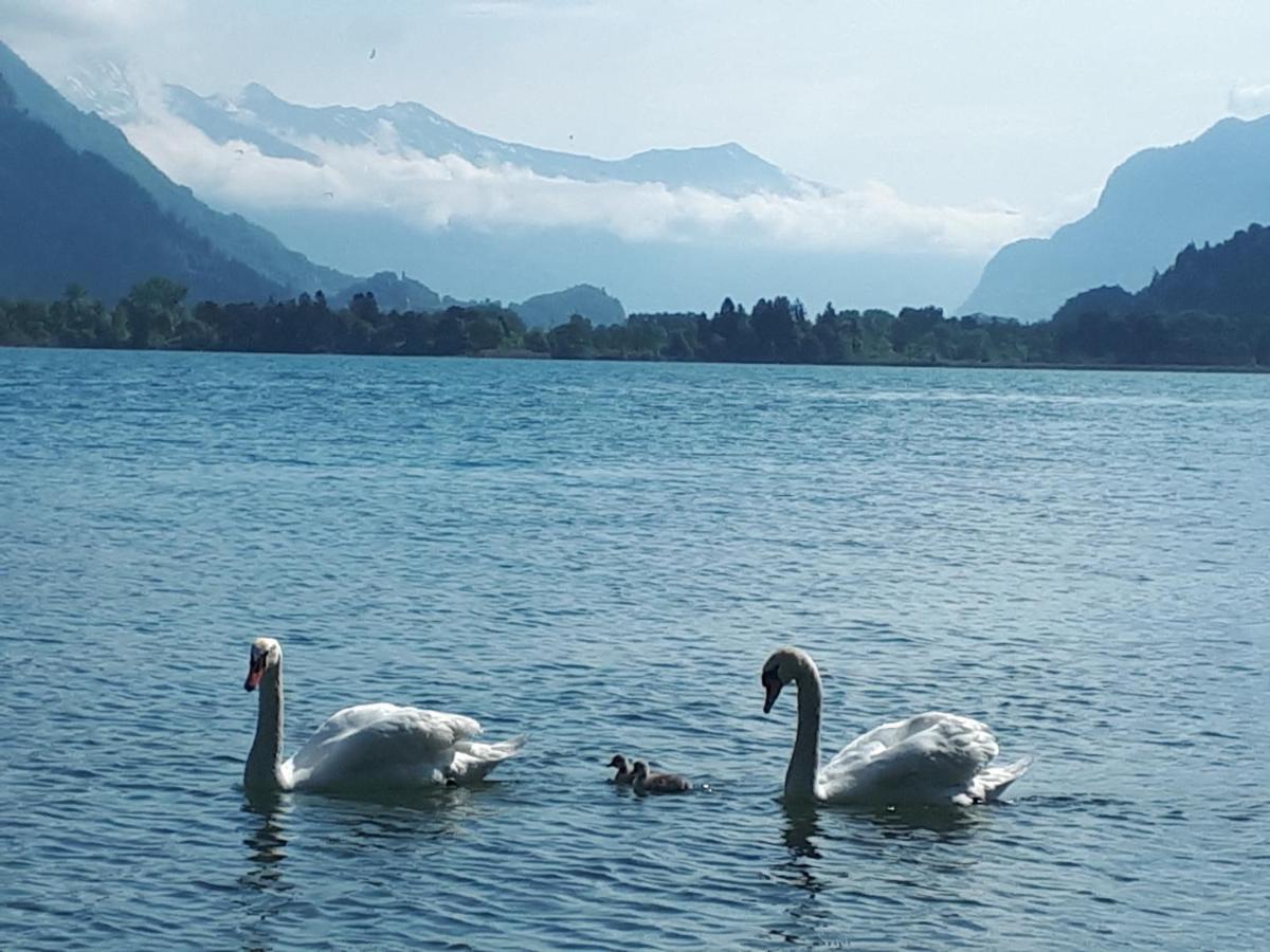 Berner Oberland Am Thunersee Därligen Exterior foto