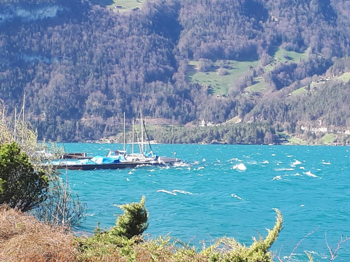 Berner Oberland Am Thunersee Därligen Exterior foto